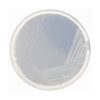 Czapek-Dox Modified Agar