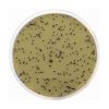 T.S.C. Agar Base (Tryptose Sulfite Cycloserine) ISO