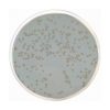 Standard Methods Agar with Powdered Milk APHA/ISO