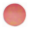DCLS Agar (Desoxycholate, Citrate, Lactose, Sucrose)