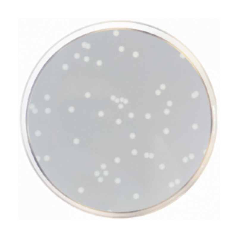 Nutrient Agar ISO