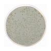 Standard Nutrient Agar I