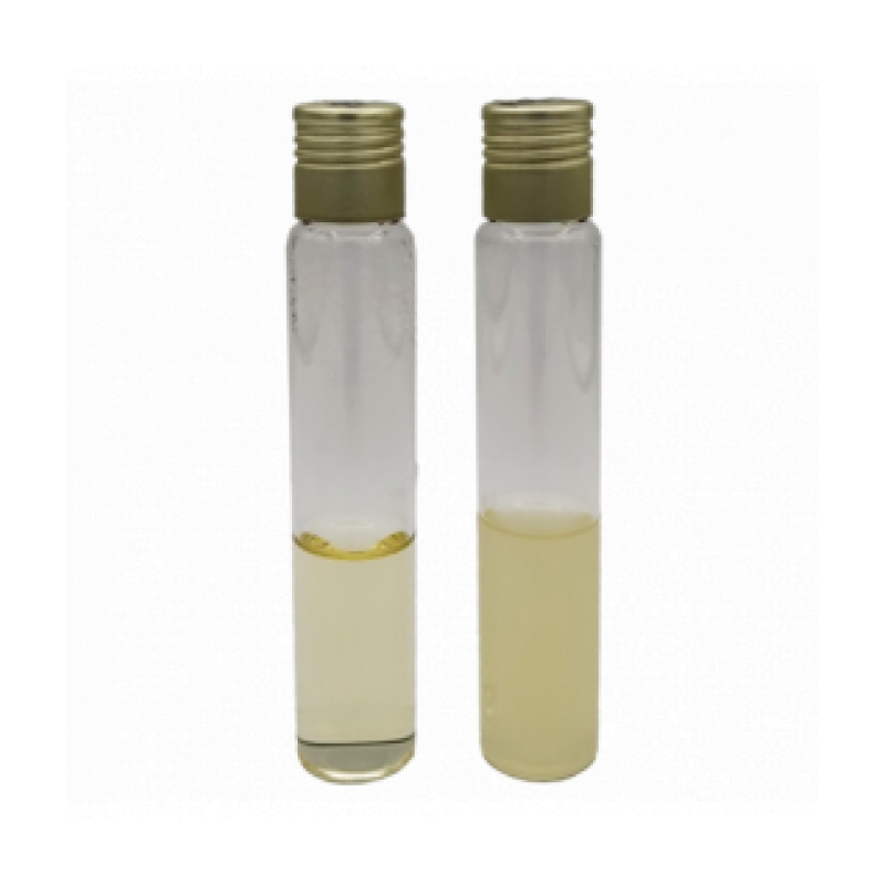 Sabouraud Dextrose Broth EP/USP