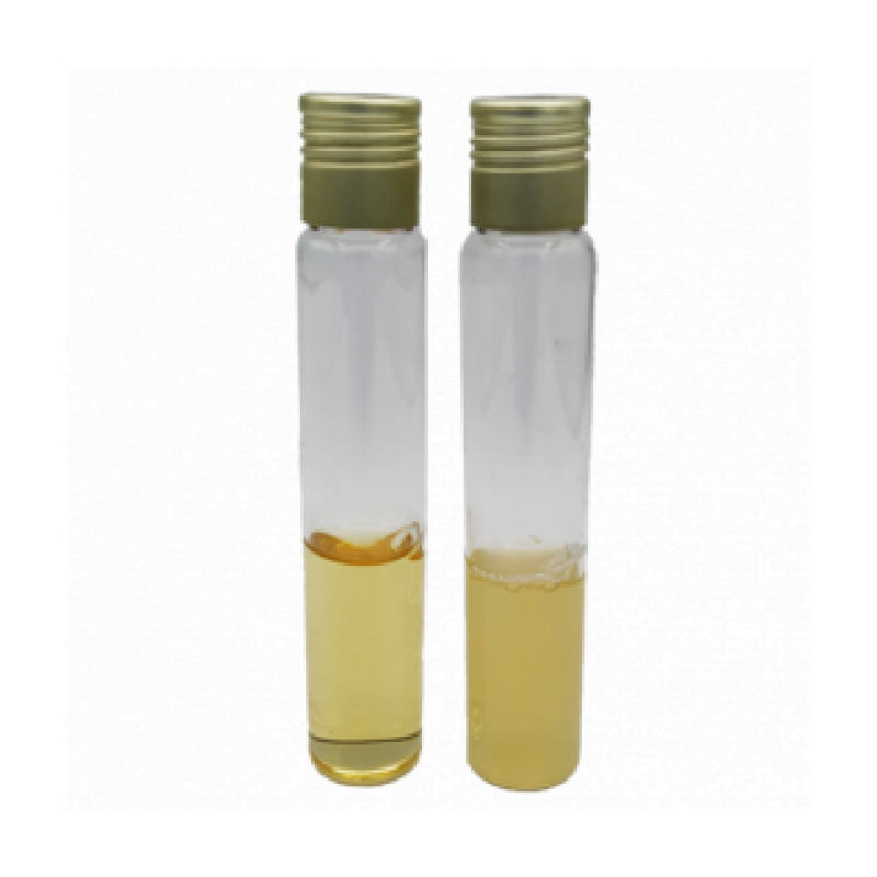 Trypticasein Soy Broth (TSB) EP/USP/ISO