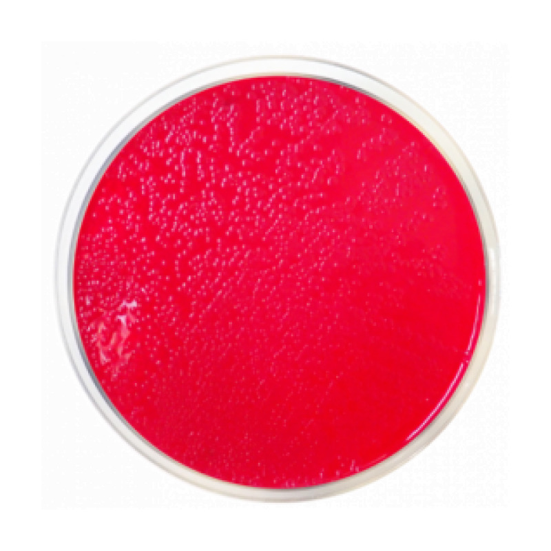 Lauryl Sulfate Agar