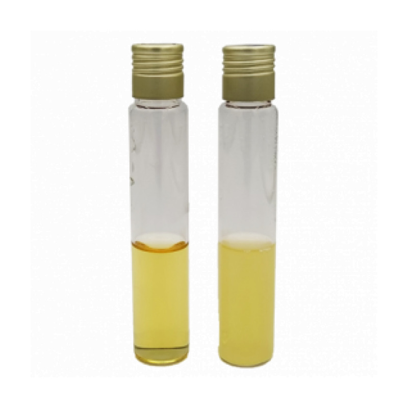 TSYEB Broth (Tryptone Soy Yeast Extract Broth) ISO