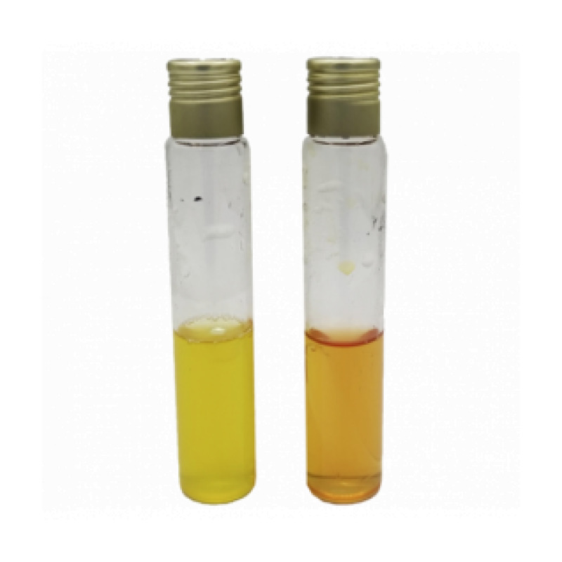 Peptone Water with Lactose