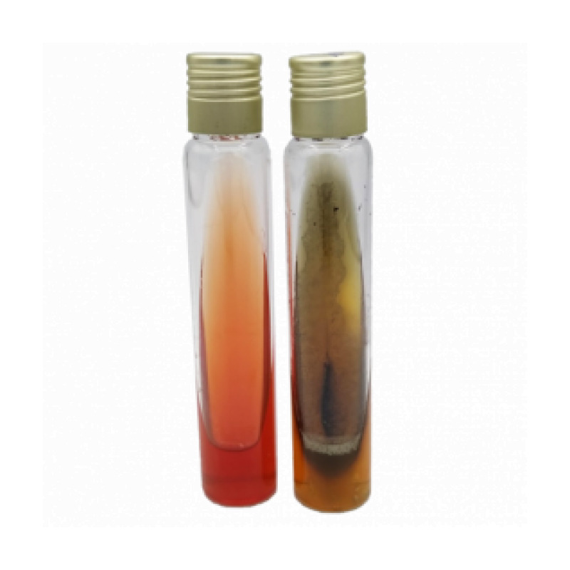 Kligler Iron Agar
