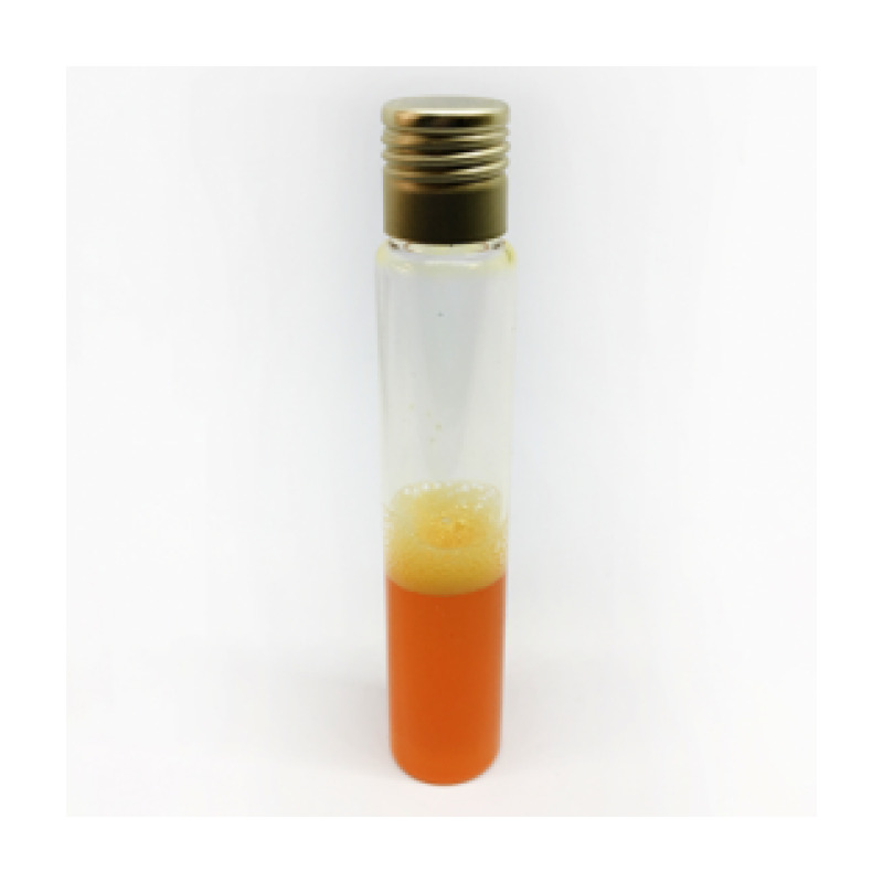 Gelatin Lactose Medium