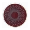 Trypticasein Soy Agar (TSA) Nº2