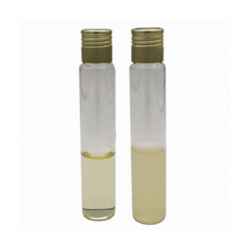 Yeast Mold Broth