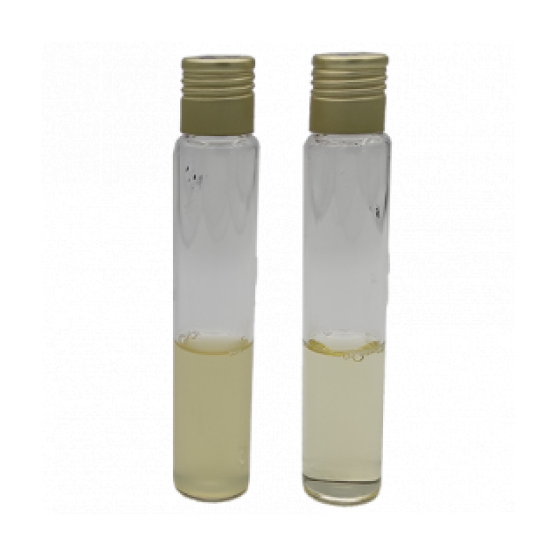 Shigella Broth ISO