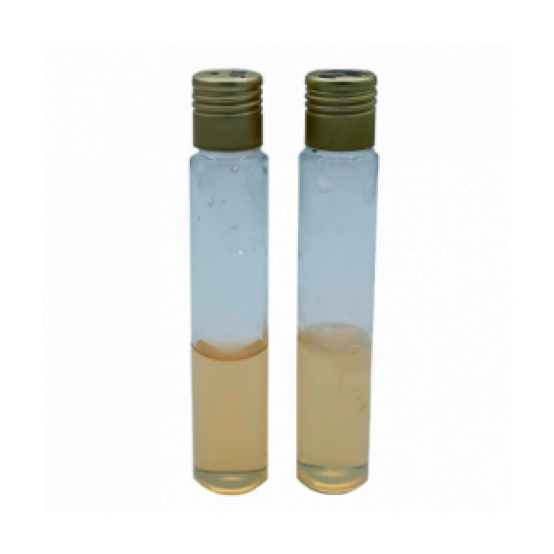 Motility Test Medium